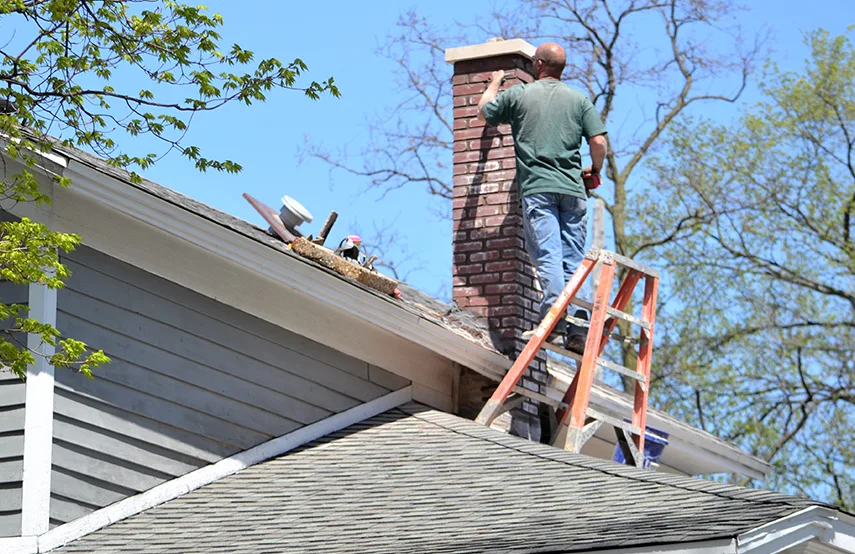 Chimney & Fireplace Inspections Services in Burien, WA